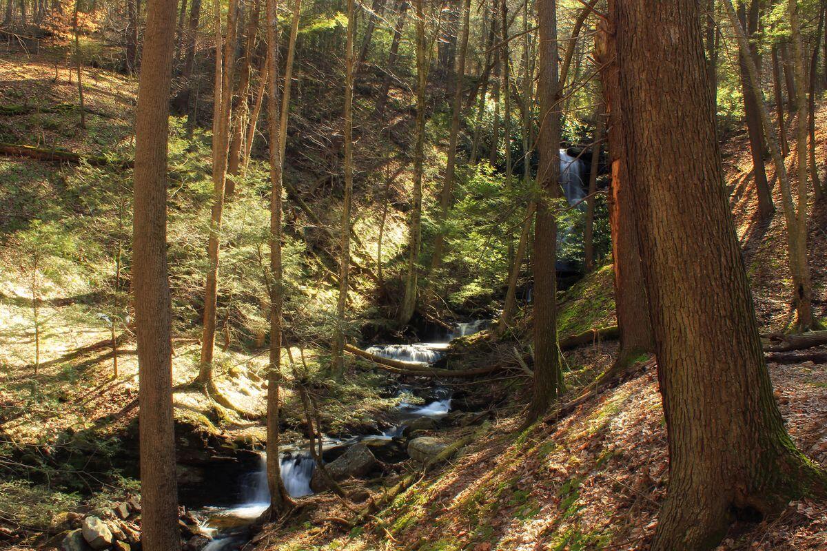 Secrets-Of-Pennsylvania8217s-Hemlock-Ravines secrets-of-pennsylvanias-hemlock-ravines