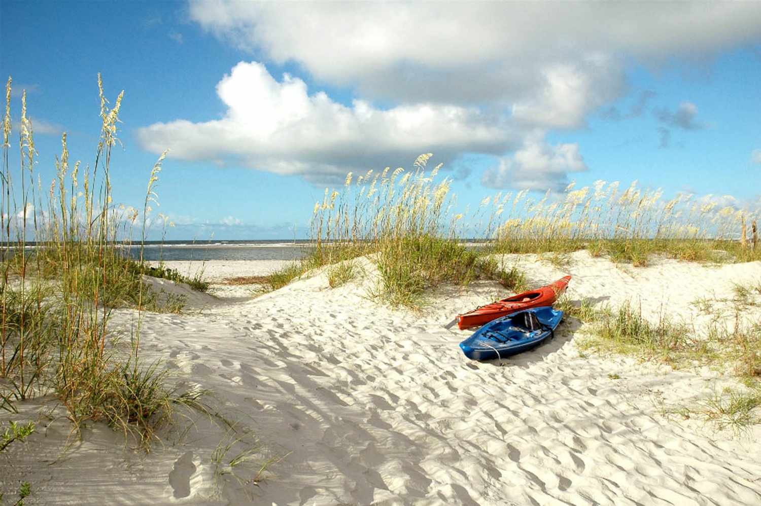 Secrets-Of-South-Carolina8217s-Barrier-Islands secrets-of-south-carolinas-barrier-islands