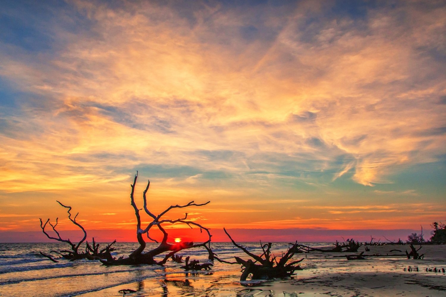 Secrets-Of-South-Carolina8217s-Cape-Romain-Islands secrets-of-south-carolinas-cape-romain-islands