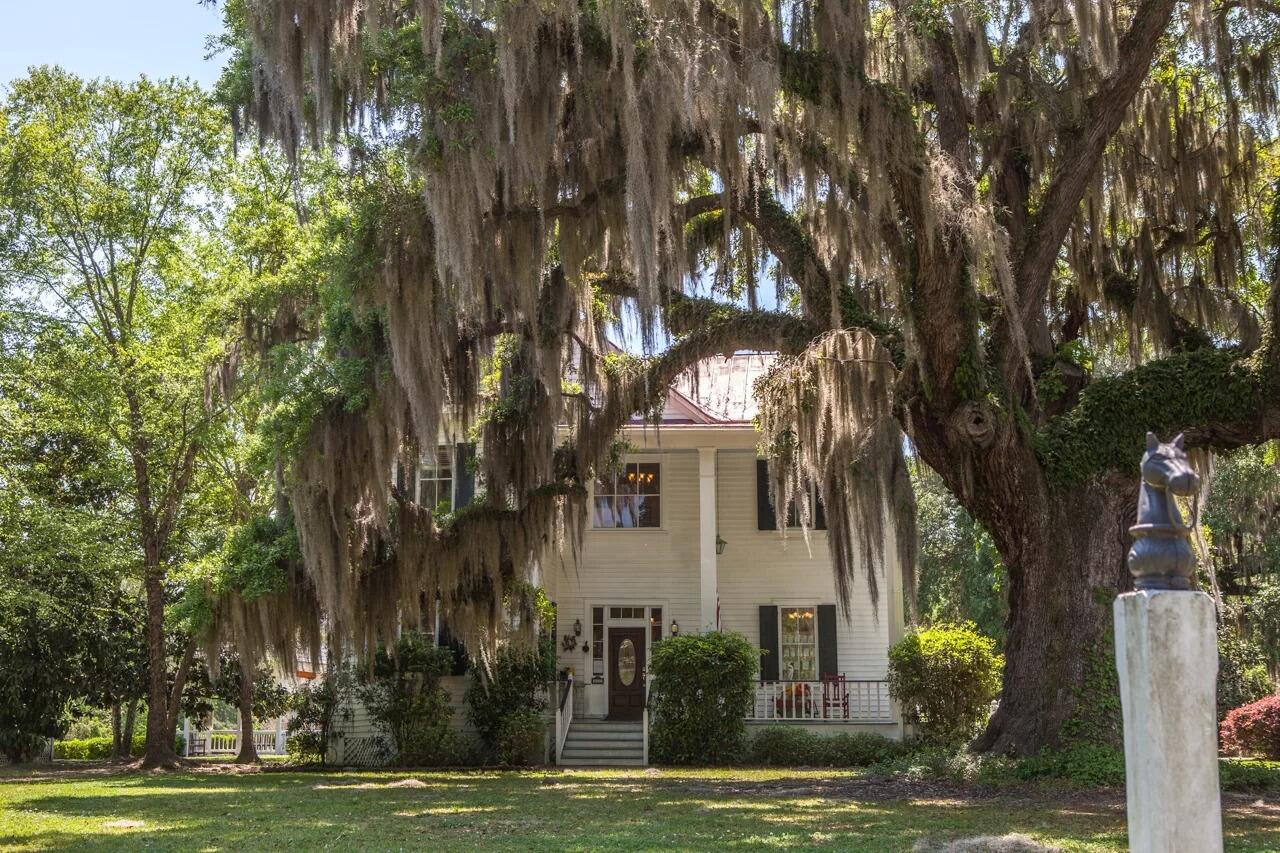 Secrets-Of-South-Carolina8217s-Low-Country-Ruins secrets-of-south-carolinas-low-country-ruins
