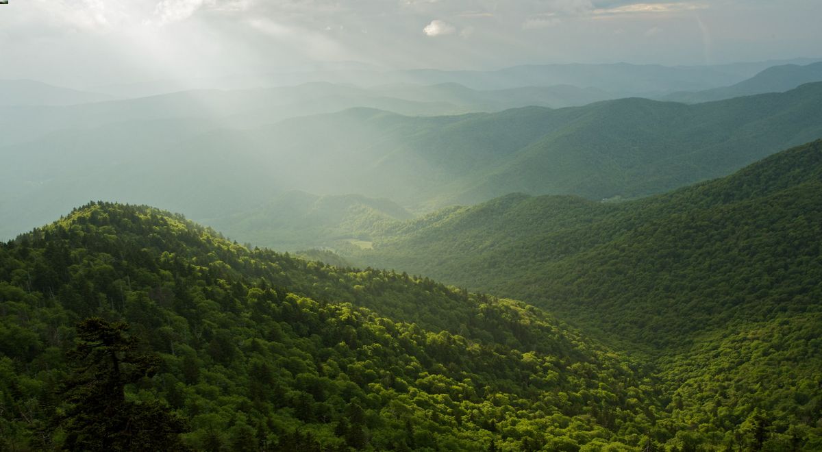 Secrets-Of-Tennessee8217s-Cherokee-Forest-Hollows secrets-of-tennessees-cherokee-forest-hollows