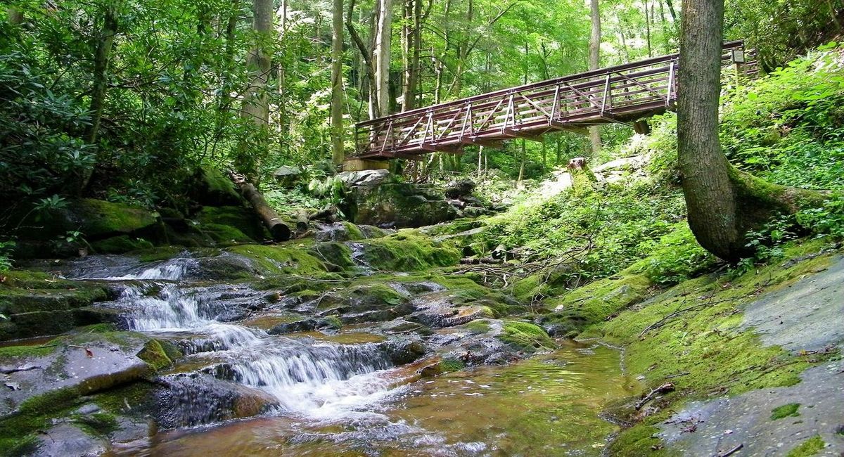 Secrets-Of-Tennessee8217s-Cherokee-National-Streams secrets-of-tennessees-cherokee-national-streams