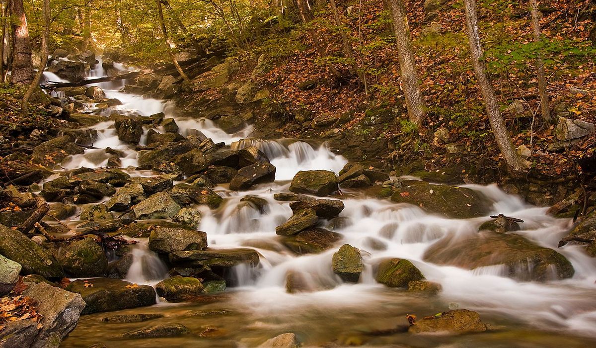 Secrets-Of-Tennessee8217s-Cumberland-Gap-Springs secrets-of-tennessees-cumberland-gap-springs