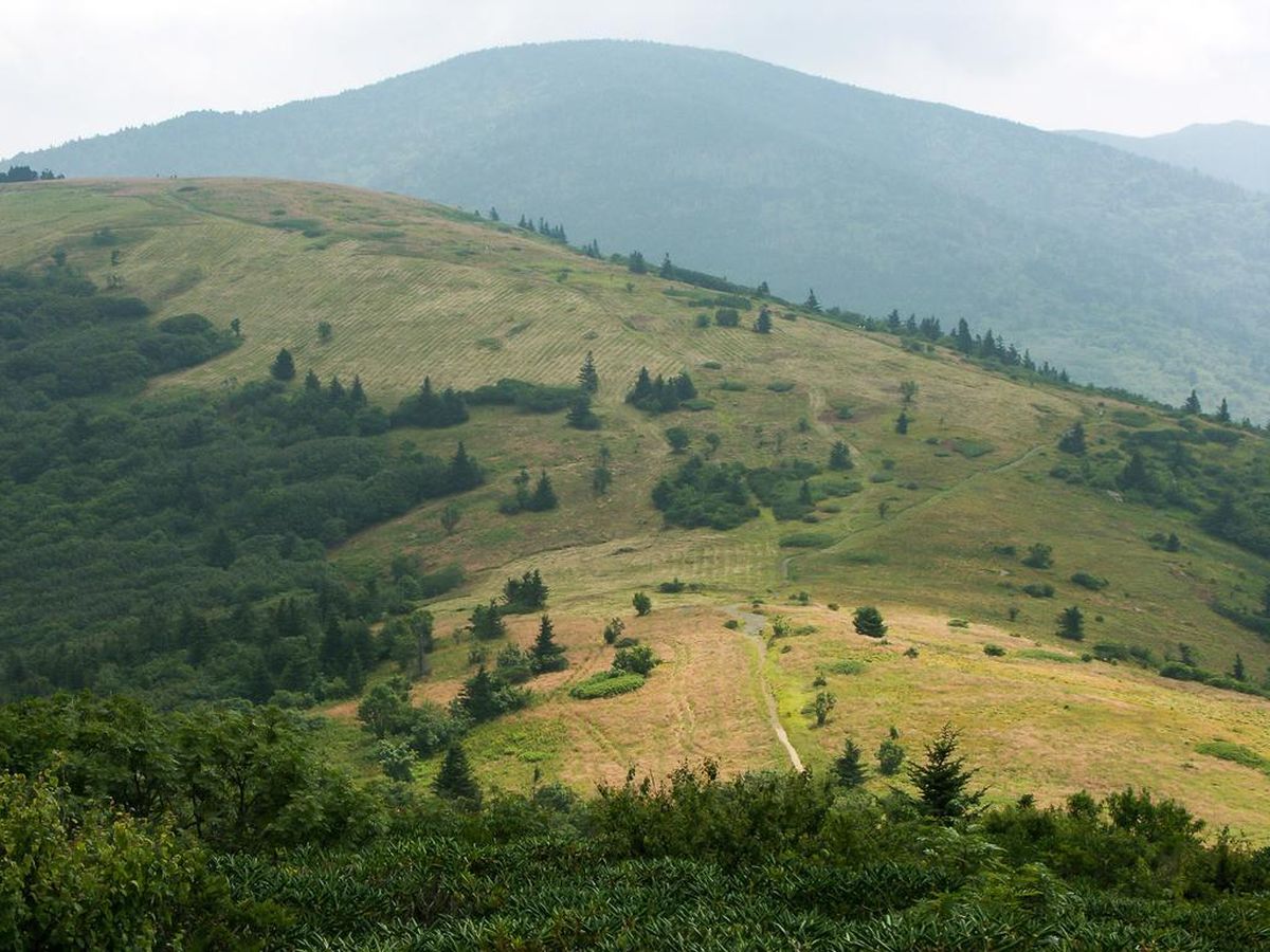Secrets-Of-Tennessee8217s-Windswept-Mountain-Balds secrets-of-tennessees-windswept-mountain-balds