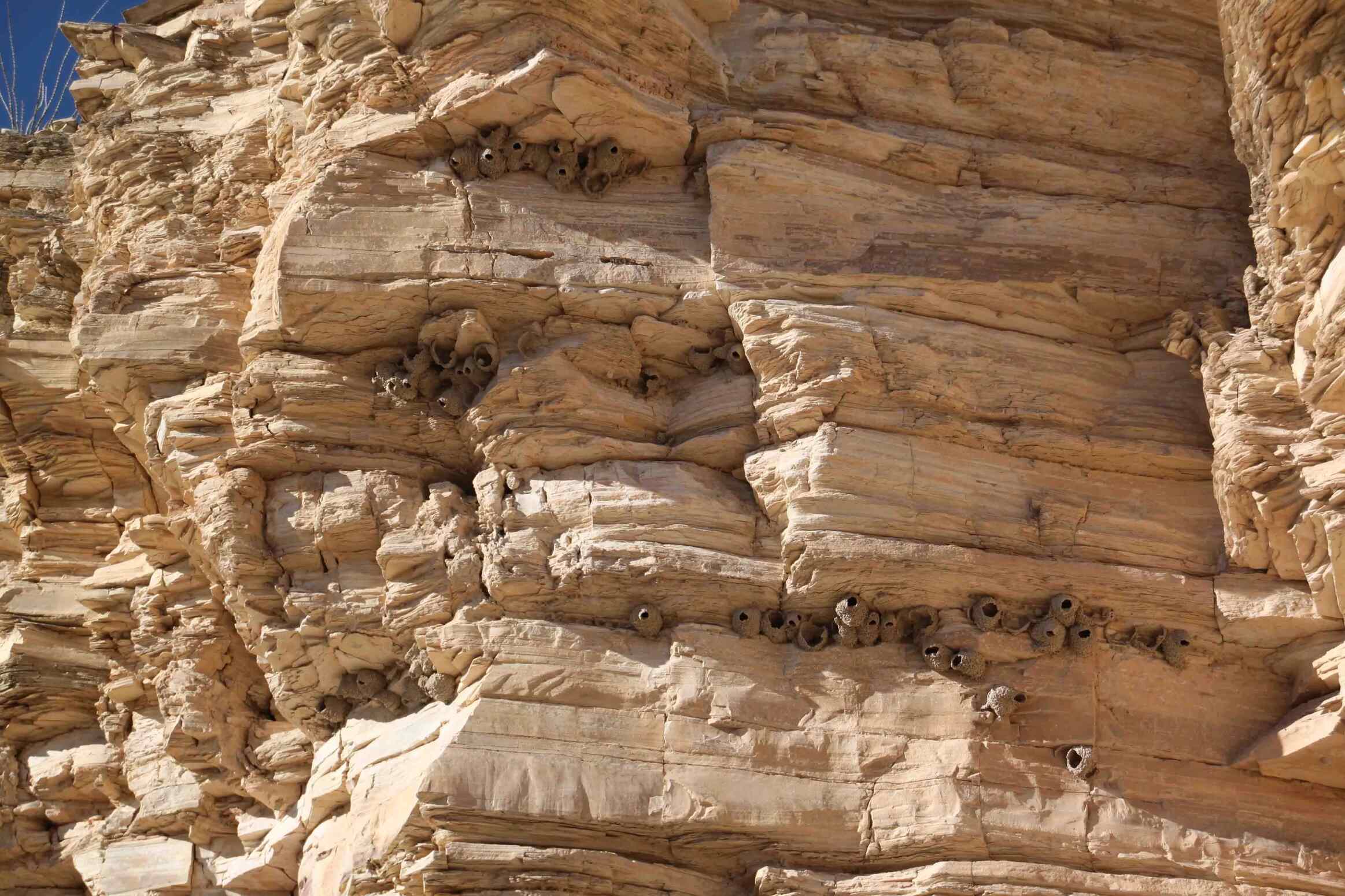Secrets-Of-Texas8217s-Chisos-Mountains-Rock-Art secrets-of-texass-chisos-mountains-rock-art