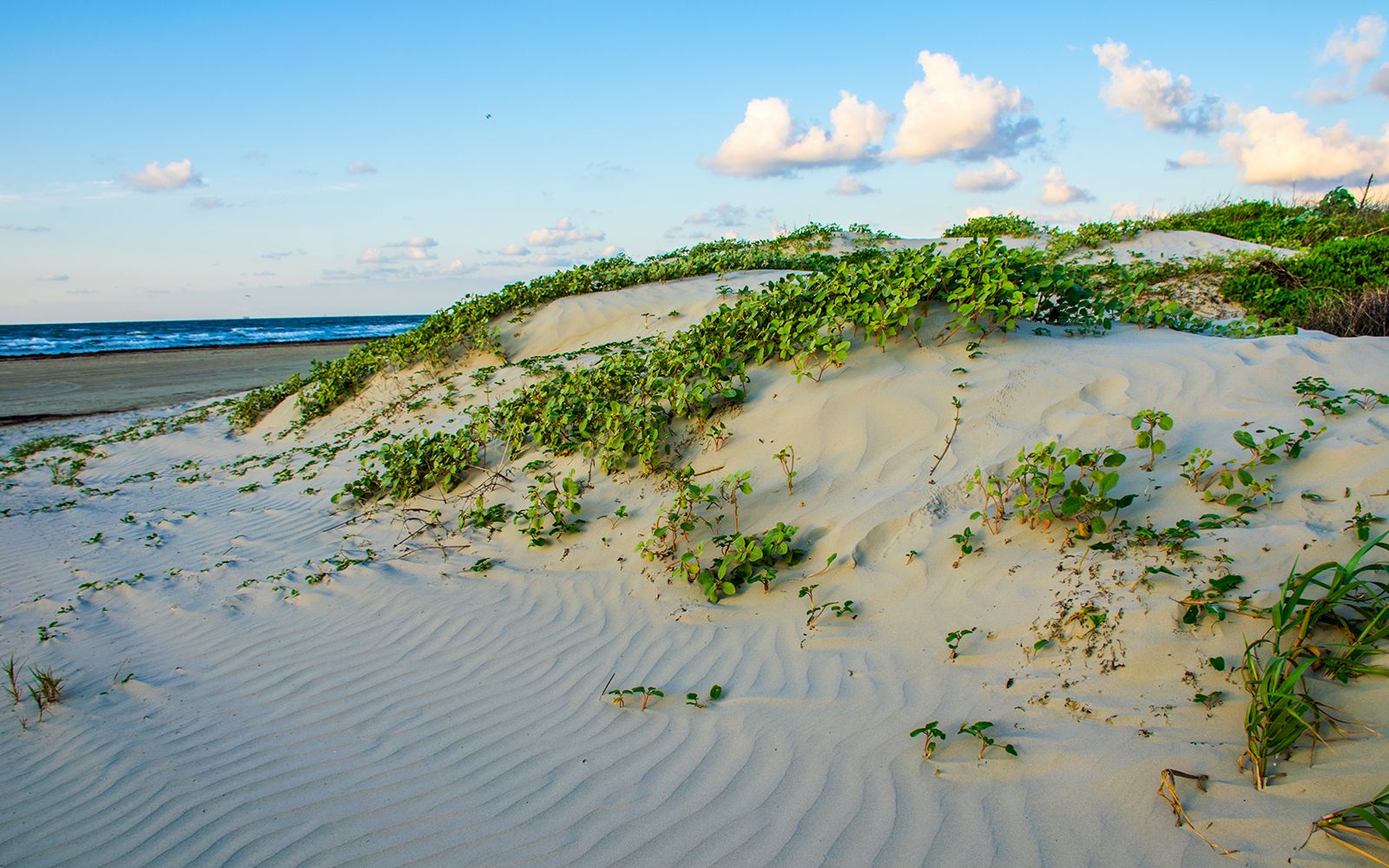 Secrets-Of-Texas8217s-Padre-Island-Barrier-Islands secrets-of-texass-padre-island-barrier-islands