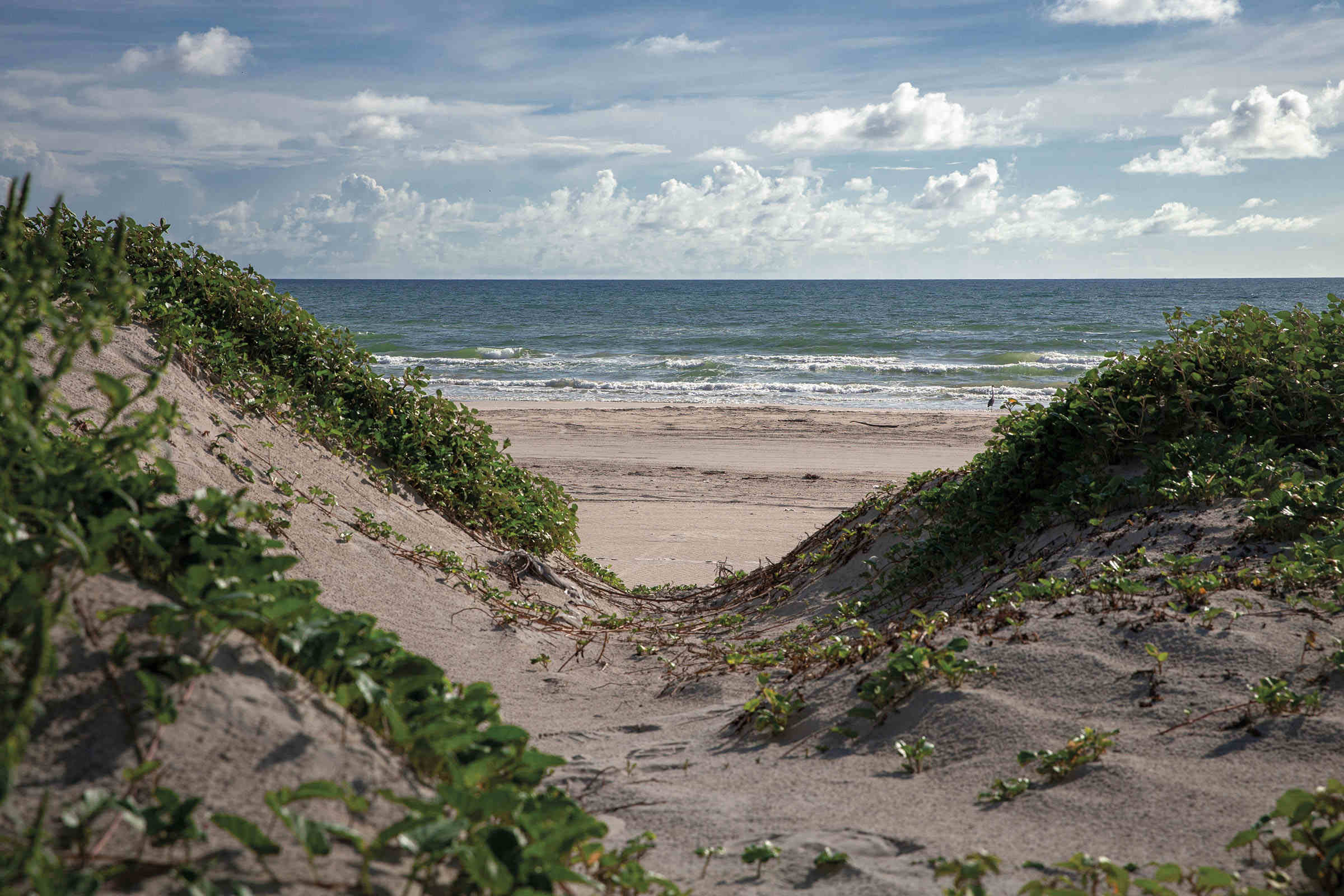 Secrets-Of-Texas8217s-Storm-Swept-Padre-Island secrets-of-texass-storm-swept-padre-island