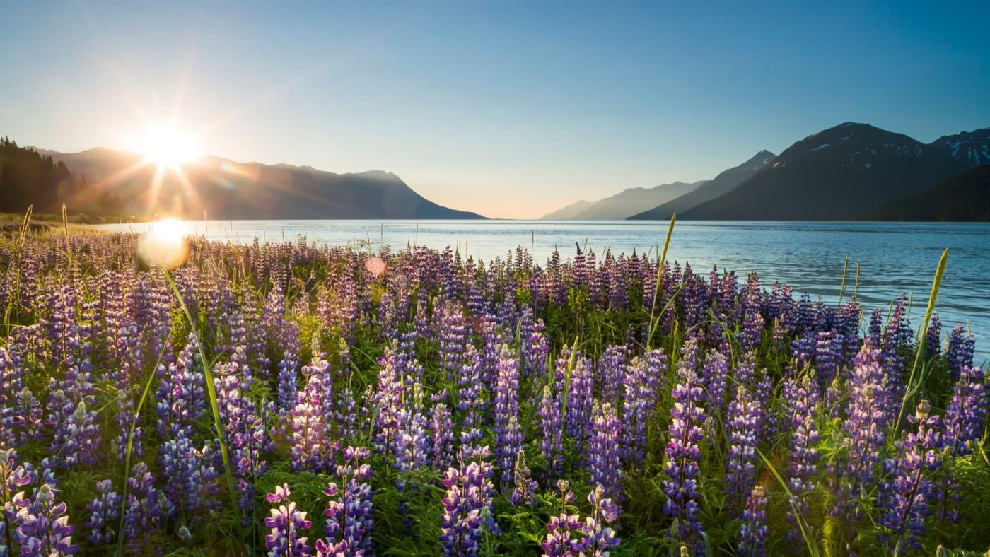 Secrets-Of-The-Midnight-Sun-Mountains-In-Alaska secrets-of-the-midnight-sun-mountains-in-alaska