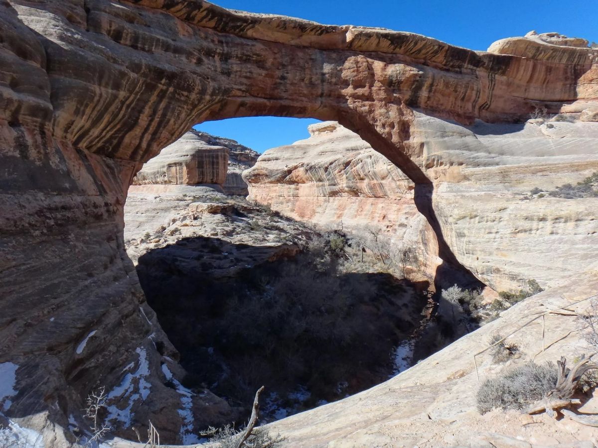 Secrets-Of-Utah8217s-Cedar-Mesa-Bridges secrets-of-utahs-cedar-mesa-bridges