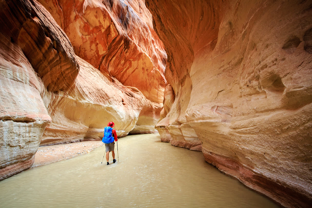 Secrets-Of-Utah8217s-Wild-Desert-Canyons secrets-of-utahs-wild-desert-canyons