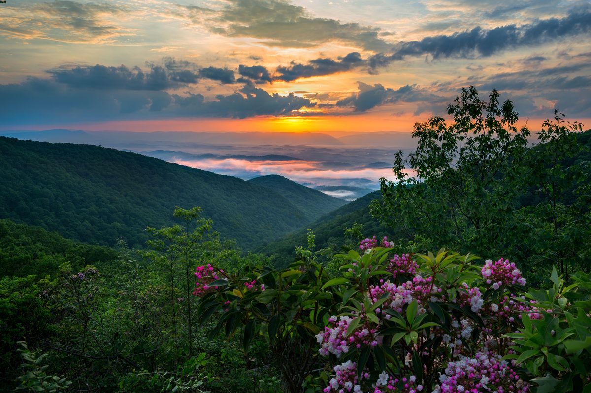 Secrets-Of-Virginia8217s-Blue-Ridge-Mountain-Hollows secrets-of-virginias-blue-ridge-mountain-hollows