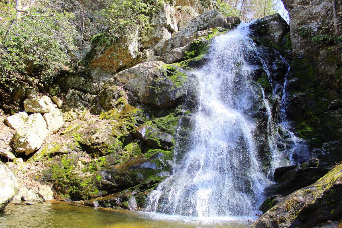 Secrets-Of-Virginia8217s-Blue-Ridge-Streams secrets-of-virginias-blue-ridge-streams