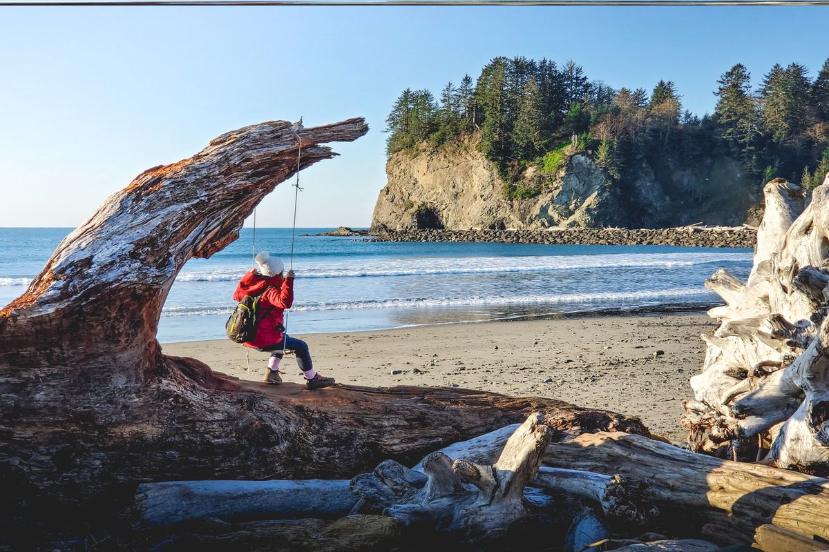 Secrets-Of-Washington8217s-Olympic-Coast-Driftwood-Beaches secrets-of-washingtons-olympic-coast-driftwood-beaches