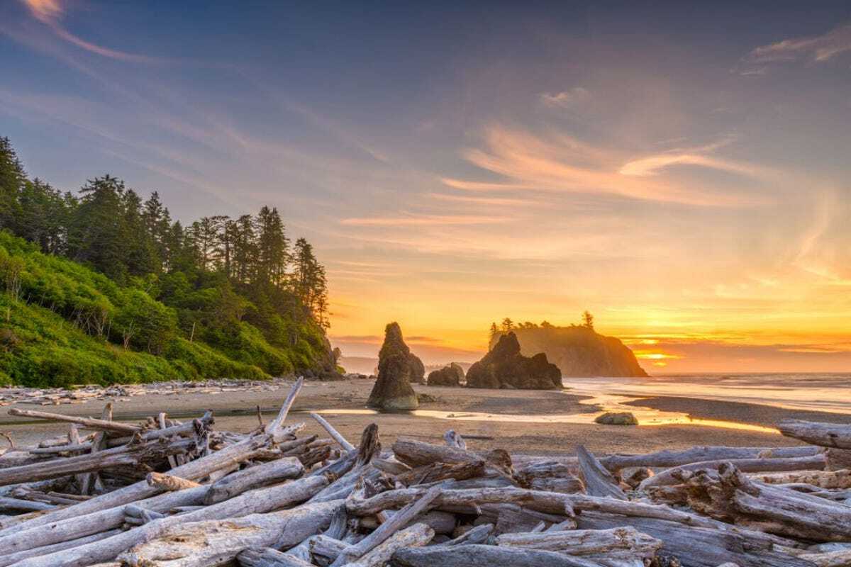 Secrets-Of-Washington8217s-Ruby-Beach-Driftwood secrets-of-washingtons-ruby-beach-driftwood