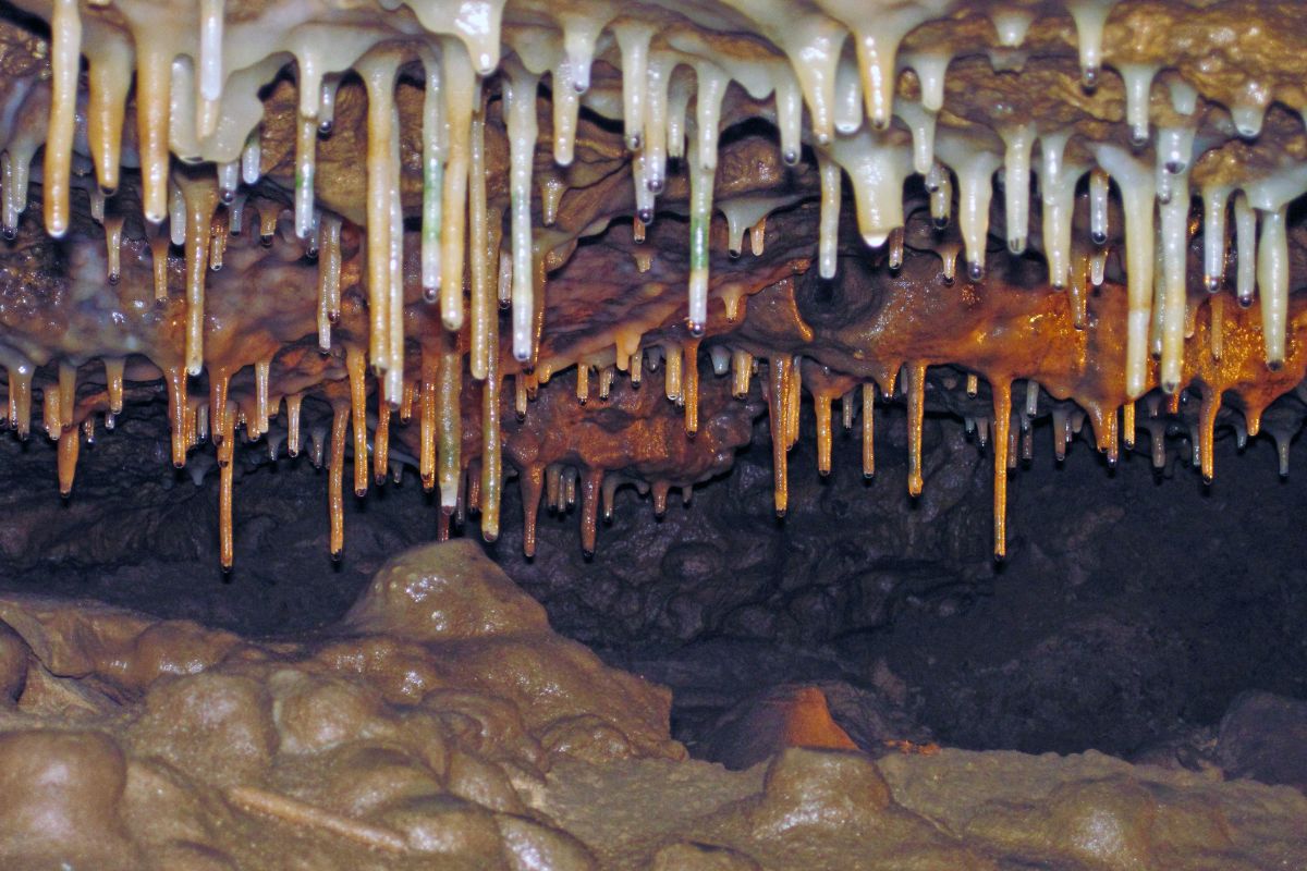 Secrets-Of-Wisconsin8217s-Cheese-Caves secrets-of-wisconsins-cheese-caves