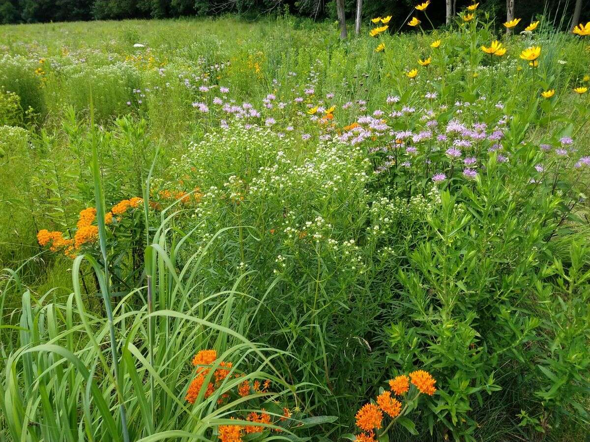 Secrets-Of-Wisconsin8217s-Kettle-Moraine-Gardens secrets-of-wisconsins-kettle-moraine-gardens