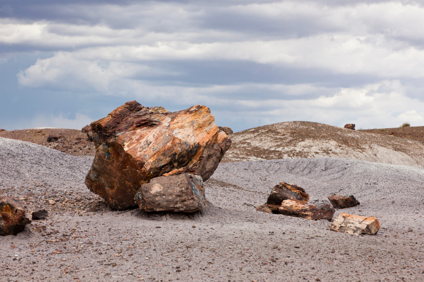 Secrets-Of-Wyoming8217s-High-Plains-Petrified-Forests secrets-of-wyomings-high-plains-petrified-forests