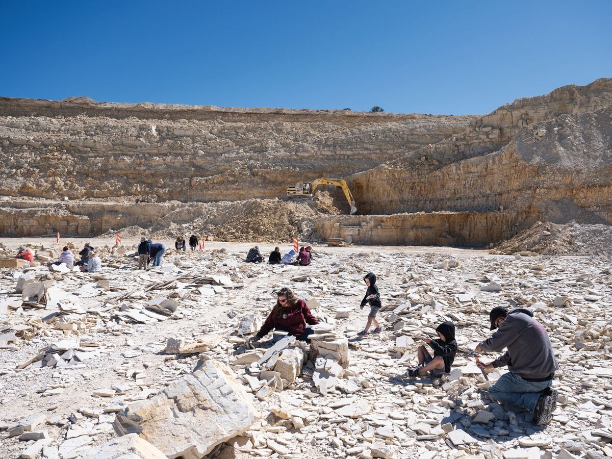 Secrets-Of-Wyoming8217s-Wind-River-Fossils secrets-of-wyomings-wind-river-fossils
