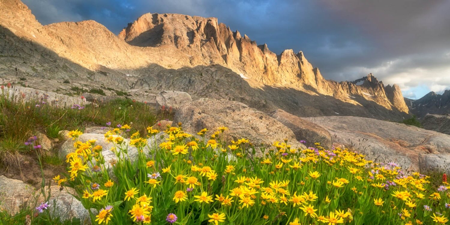 Secrets-Of-Wyoming8217s-Wind-River-Meadows secrets-of-wyomings-wind-river-meadows