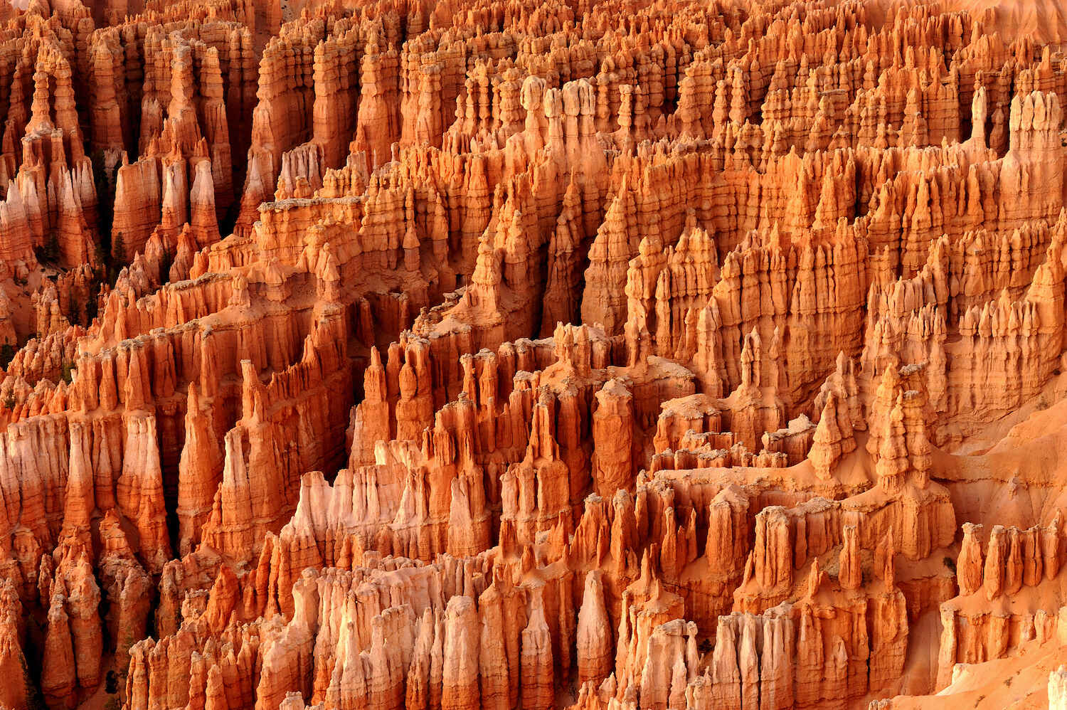 The-Secrets-Of-Bryce-Canyon8217s-Burnt-Orange-Hoodoos the-secrets-of-bryce-canyons-burnt-orange-hoodoos