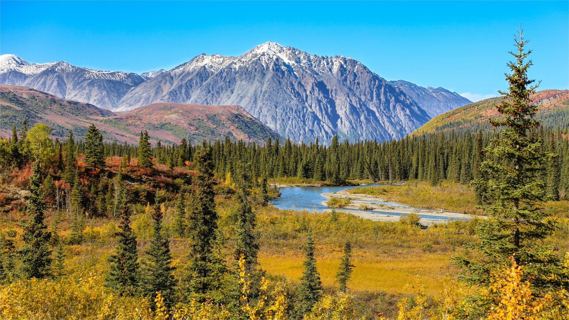Alaska8217s-Secret-Mountain-Passes-And-Wilderness-Trails alaskas-secret-mountain-passes-and-wilderness-trails