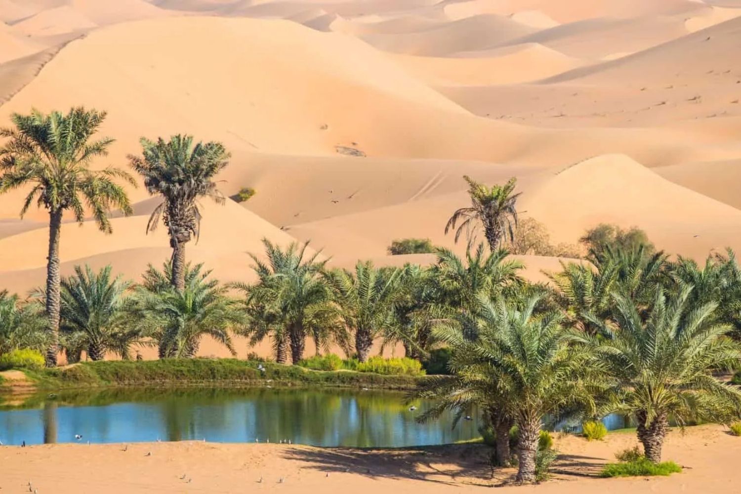 arizonas-hidden-mountain-springs-and-desert-oases