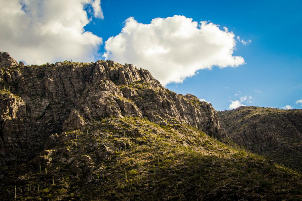 Arizona8217s-Secret-Sky-Islands-And-Mountain-Forests arizonas-secret-sky-islands-and-mountain-forests