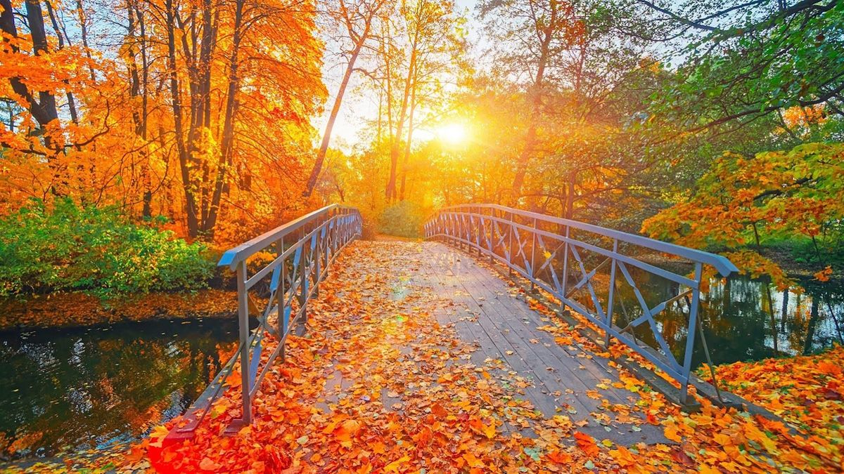 Autumn-Canopies-Of-Vermont8217s-Northeast-Kingdom autumn-canopies-of-vermonts-northeast-kingdom