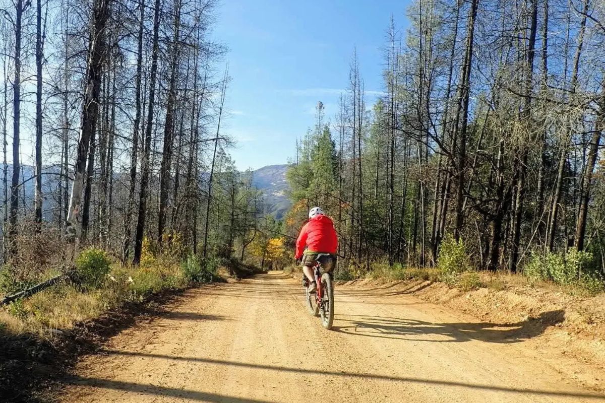 bicycle-farming-collectives-in-mendocino
