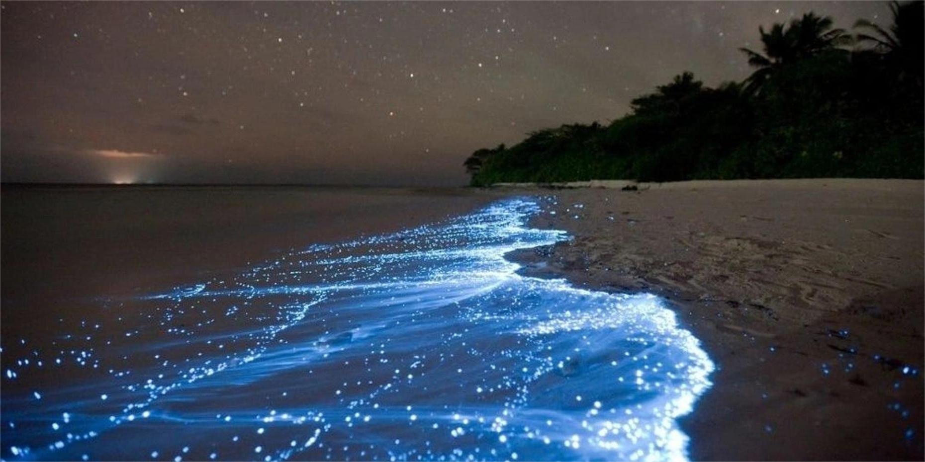 bioluminescent-bays-of-vieques-that-will-surprise-you