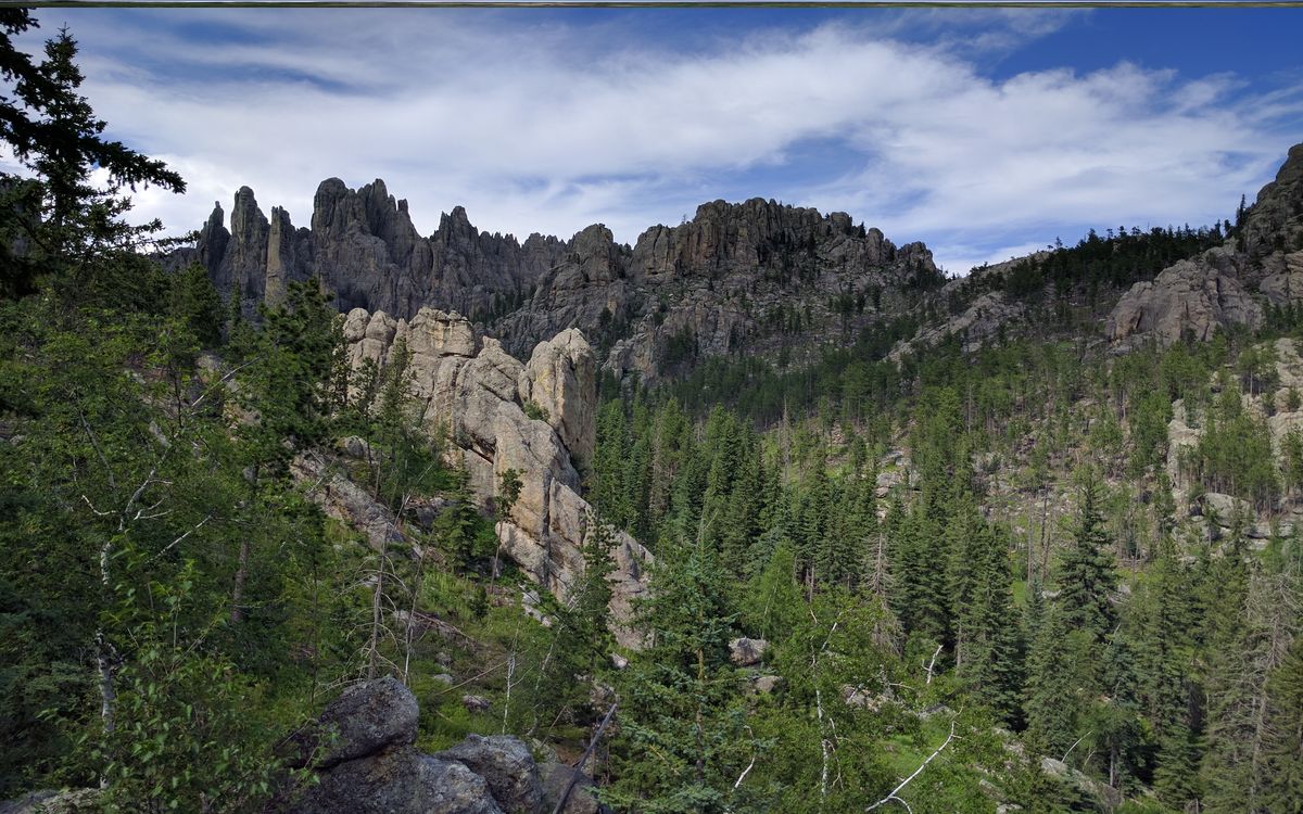 bison-conservation-ranches-in-south-dakotas-black-hills