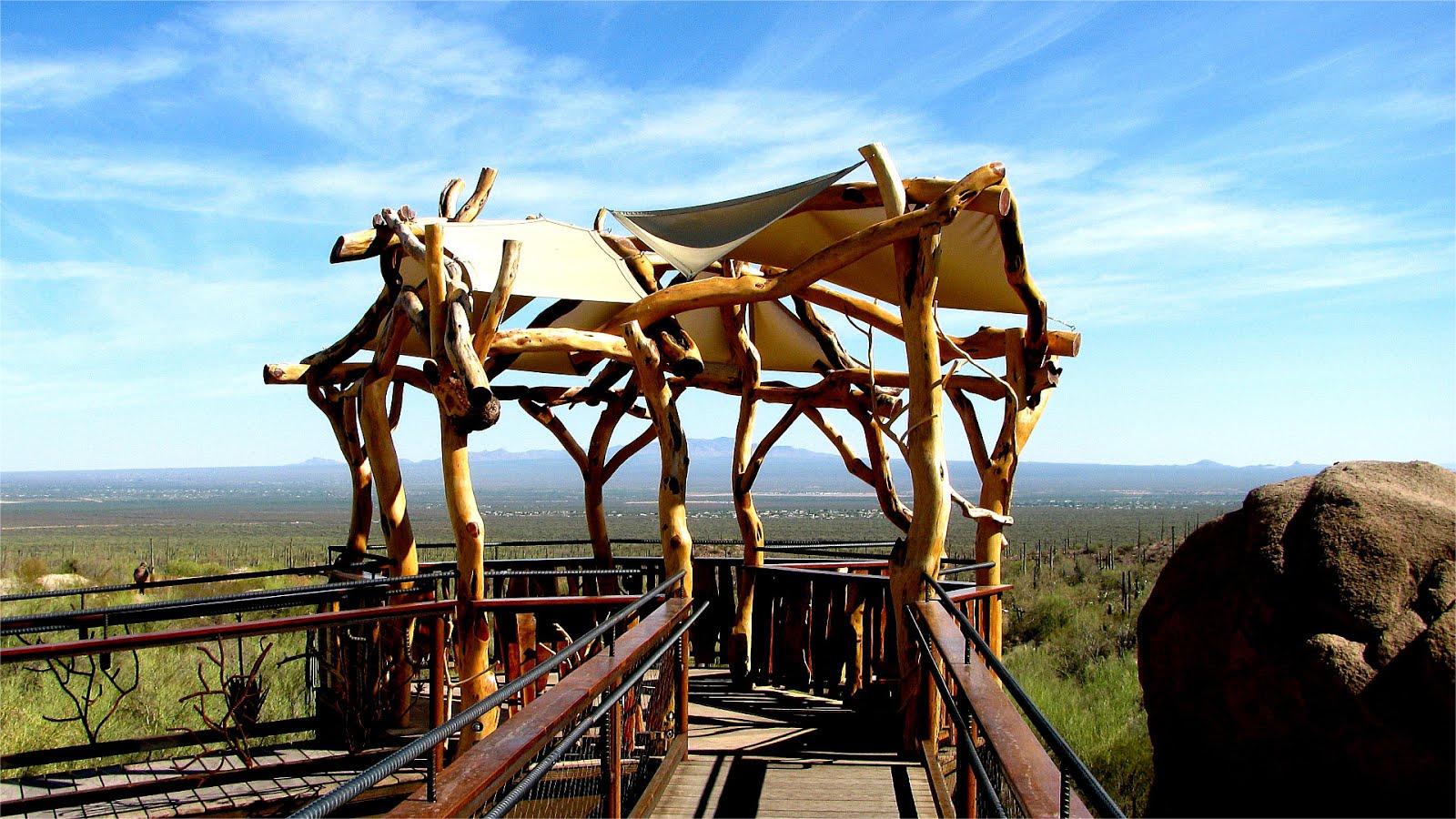 curious-desert-history-museums-in-tubac-arizona