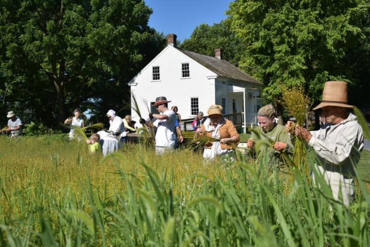 flax-processing-secrets-of-lancaster-county