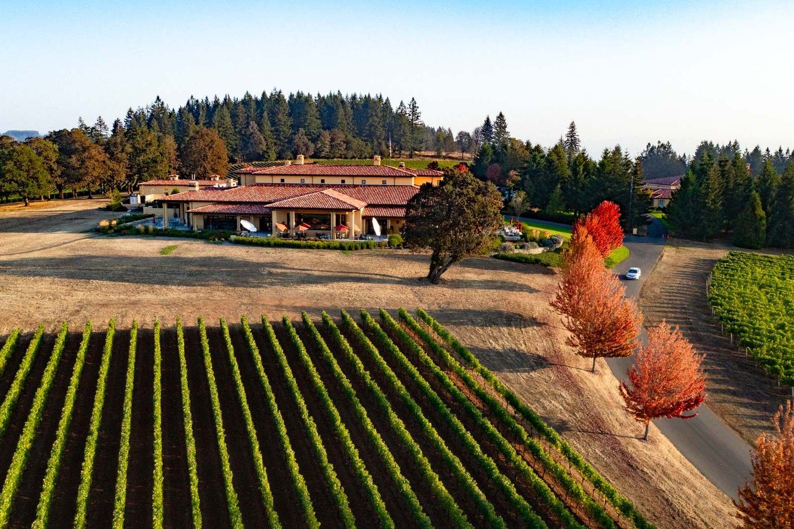 Foraging-Secrets-Of-Oregon8217s-Willamette-Valley foraging-secrets-of-oregons-willamette-valley