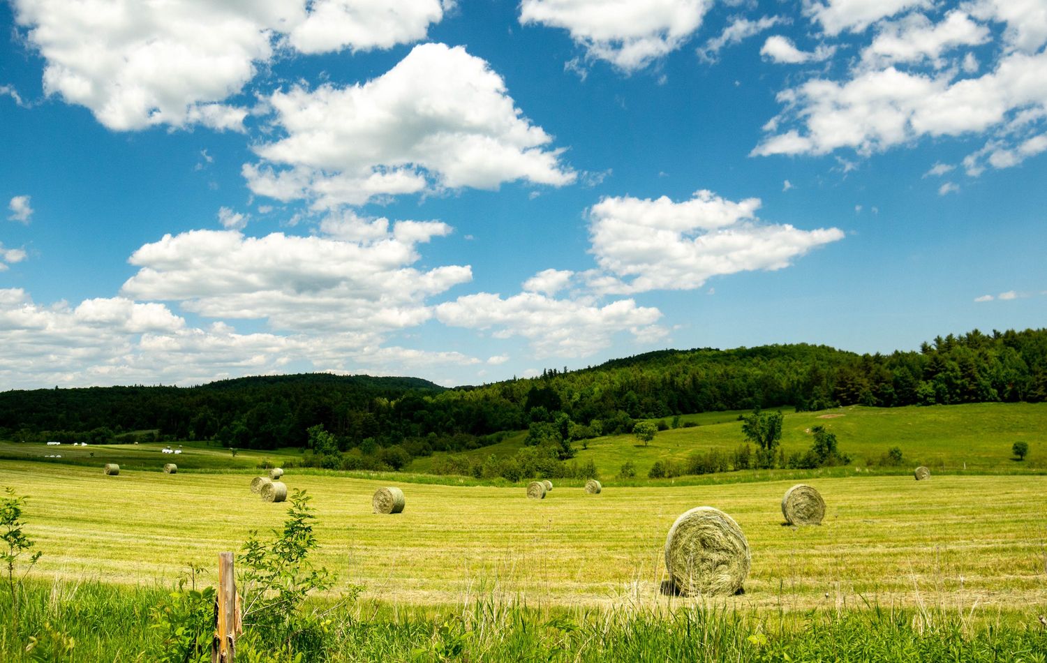 heritage-breed-animal-sanctuaries-in-vermonts-champlain-valley