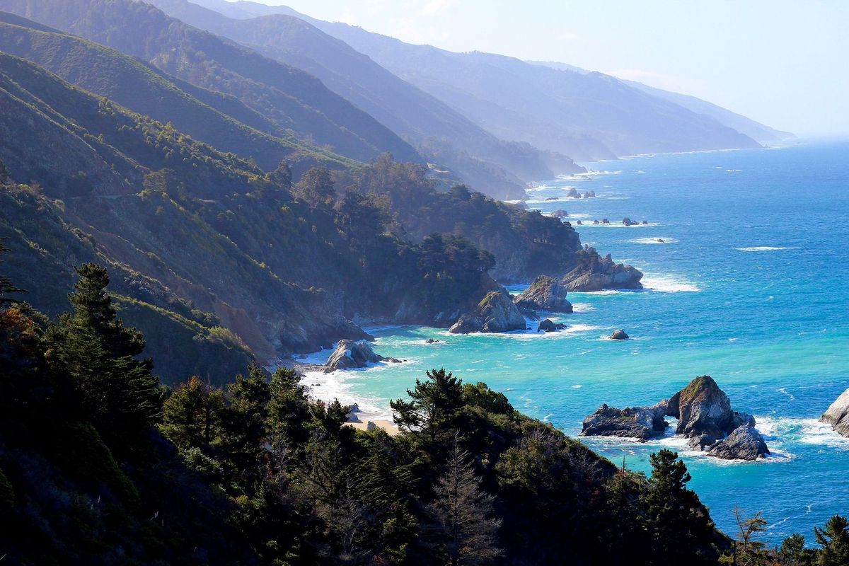 Hidden-Ancient-Forests-Of-California8217s-Coast-Range hidden-ancient-forests-of-californias-coast-range