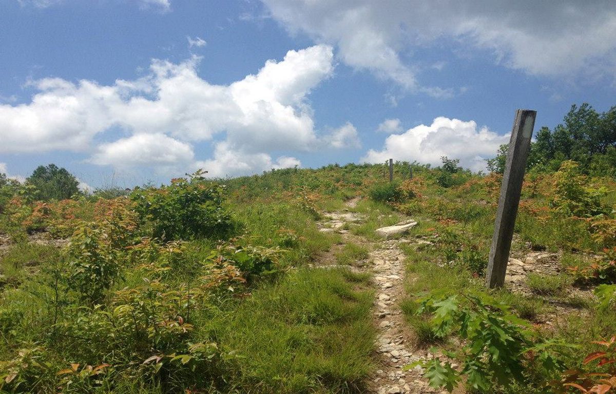 Hidden-Backcountry-Shelters-On-North-Carolina8217s-Appalachian-Trail hidden-backcountry-shelters-on-north-carolinas-appalachian-trail