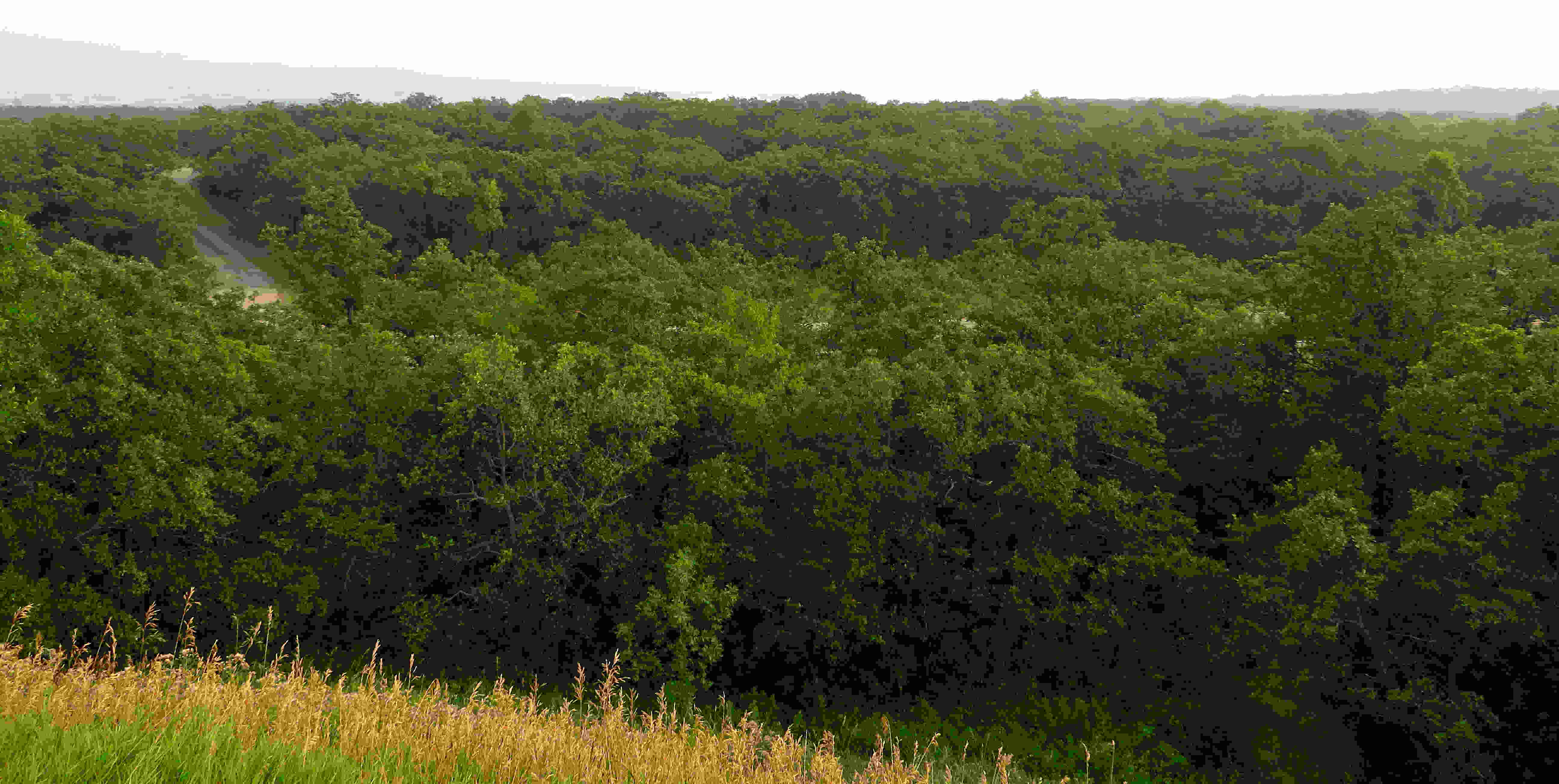 Hidden-Border-Outposts-Of-North-Dakota8217s-Turtle-Mountains hidden-border-outposts-of-north-dakotas-turtle-mountains