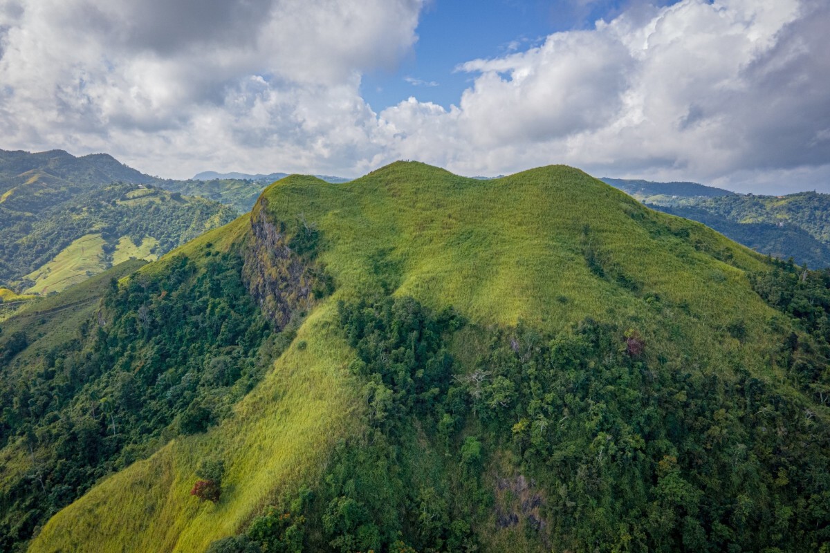 hidden-cloud-forests-of-puerto-ricos-central-mountains