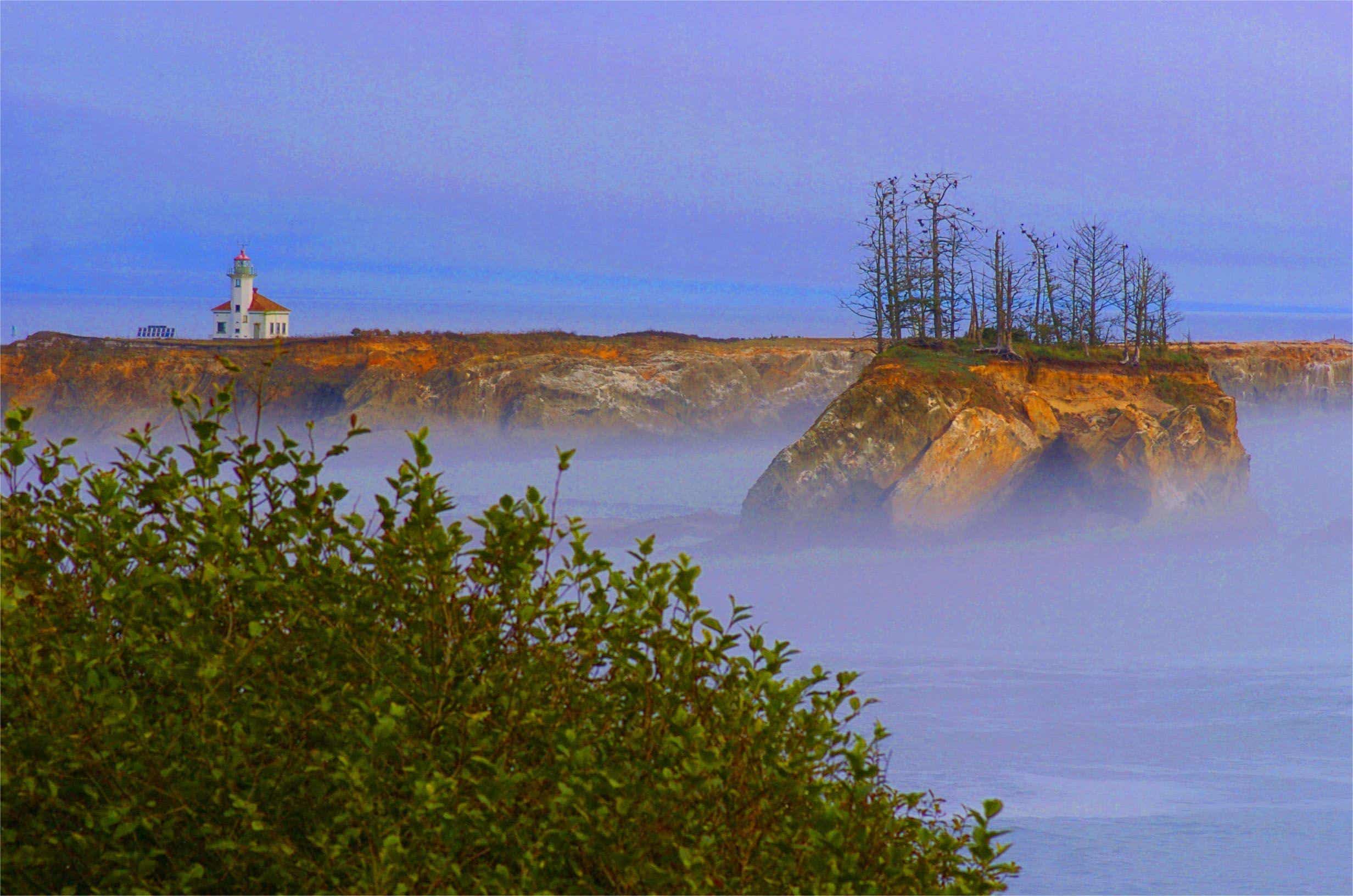 hidden-coastal-bluffs-of-oregons-cape-arago