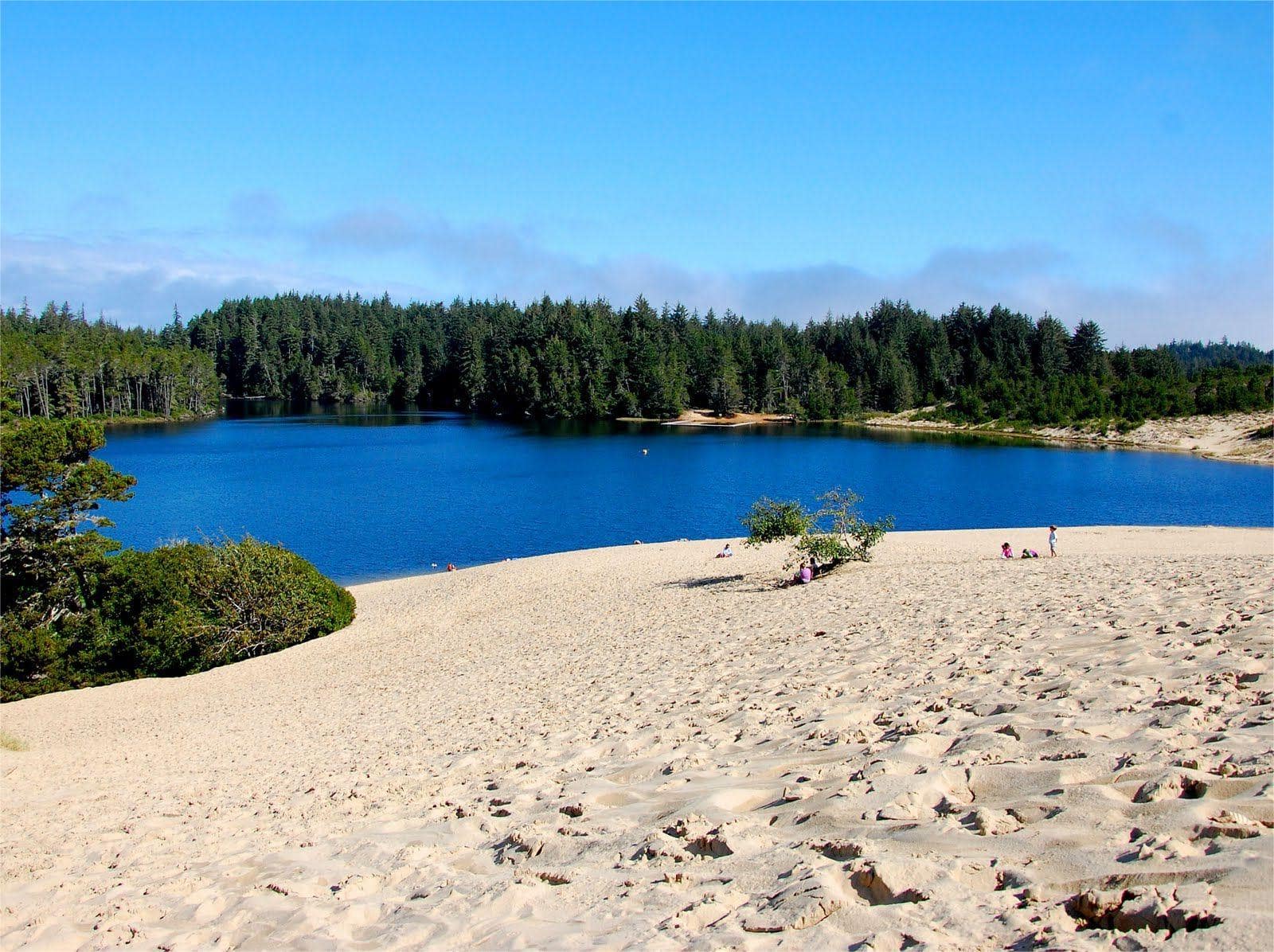 hidden-coastal-dune-wonders-of-oregons-jessie-honeyman