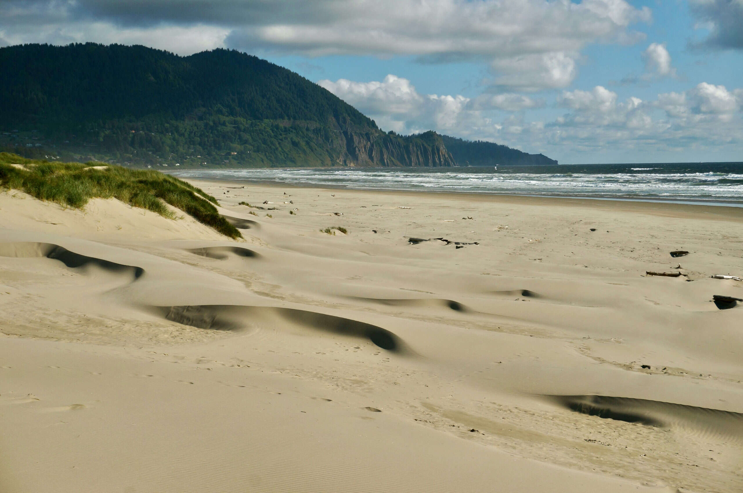 hidden-coastal-dunes-of-oregons-nehalem-bay