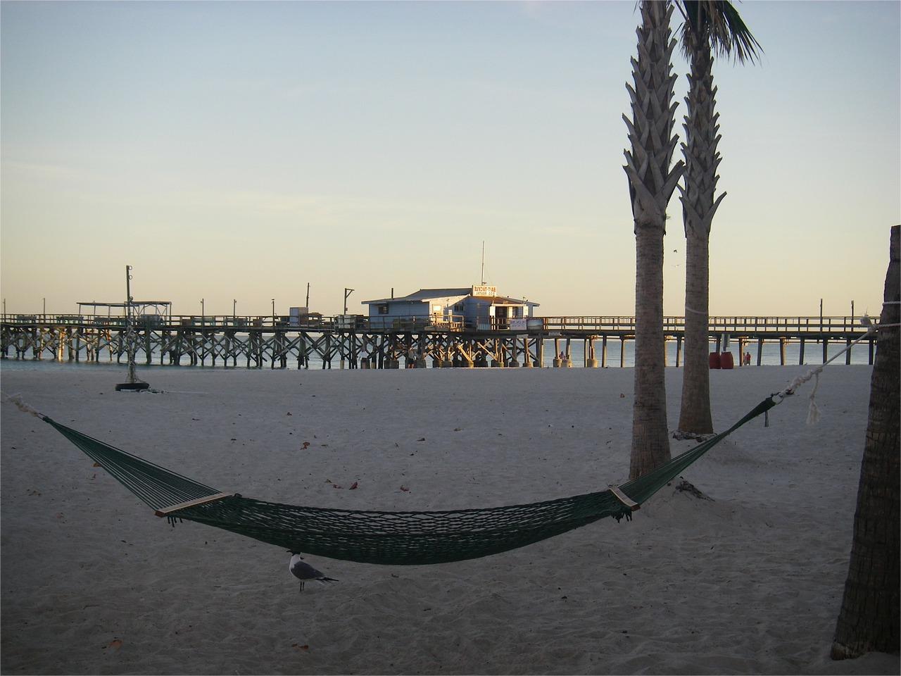 Hidden-Coastal-Hammocks-Of-Florida8217s-Big-Bend hidden-coastal-hammocks-of-floridas-big-bend