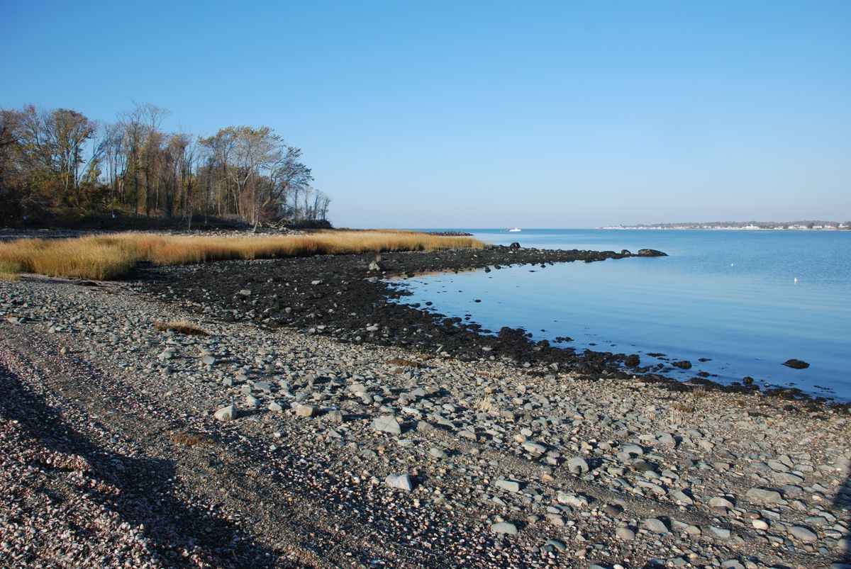 Hidden-Coastal-Islands-Of-Connecticut8217s-Charles-Island hidden-coastal-islands-of-connecticuts-charles-island