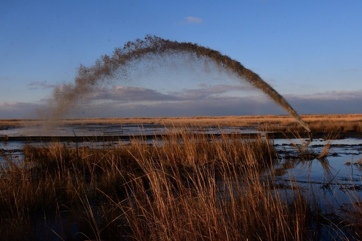 hidden-coastal-marshes-of-marylands-blackwater-refuge