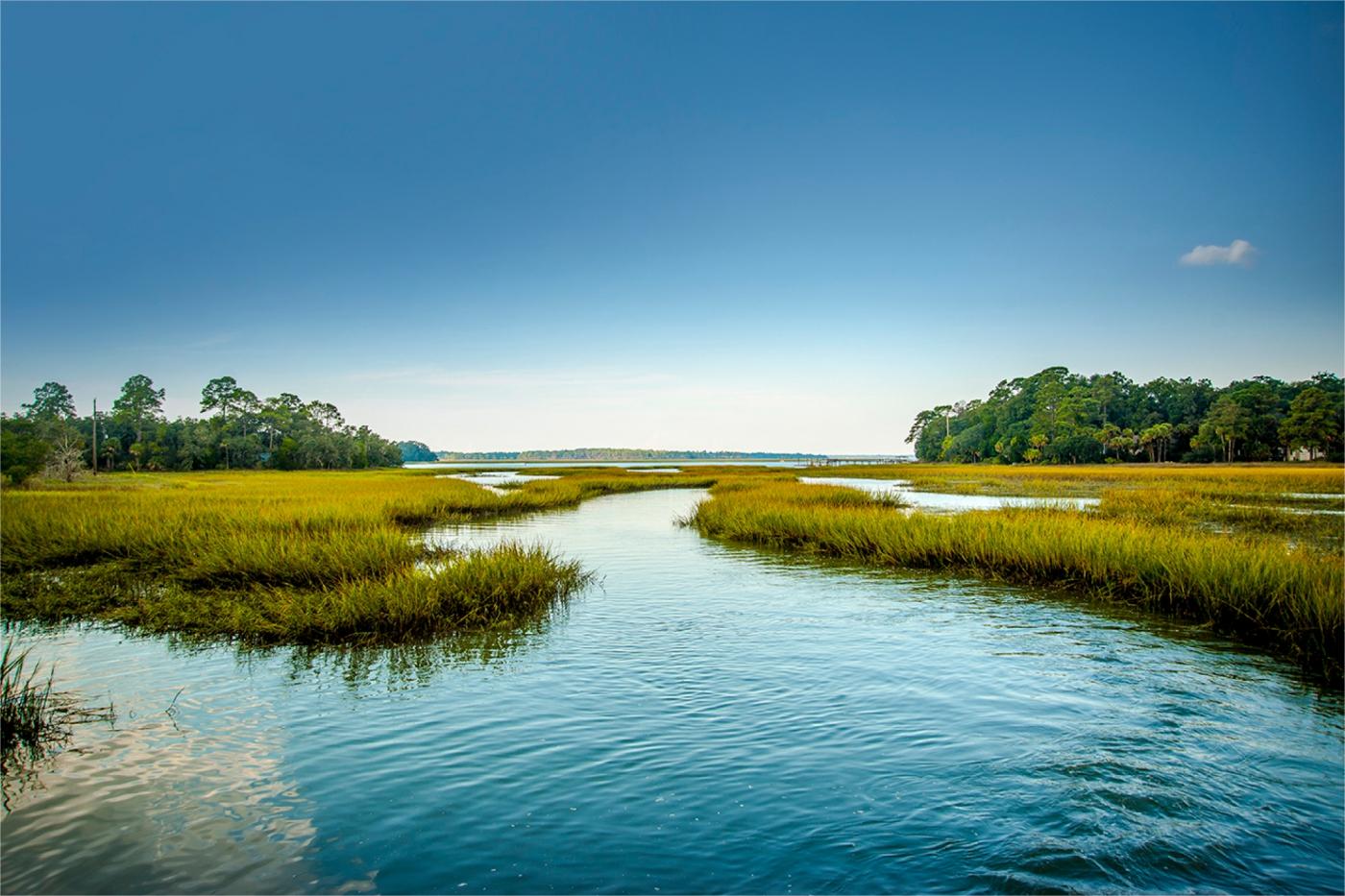 Hidden-Coastal-Marshes-Of-South-Carolina8217s-Bulls-Bay hidden-coastal-marshes-of-south-carolinas-bulls-bay