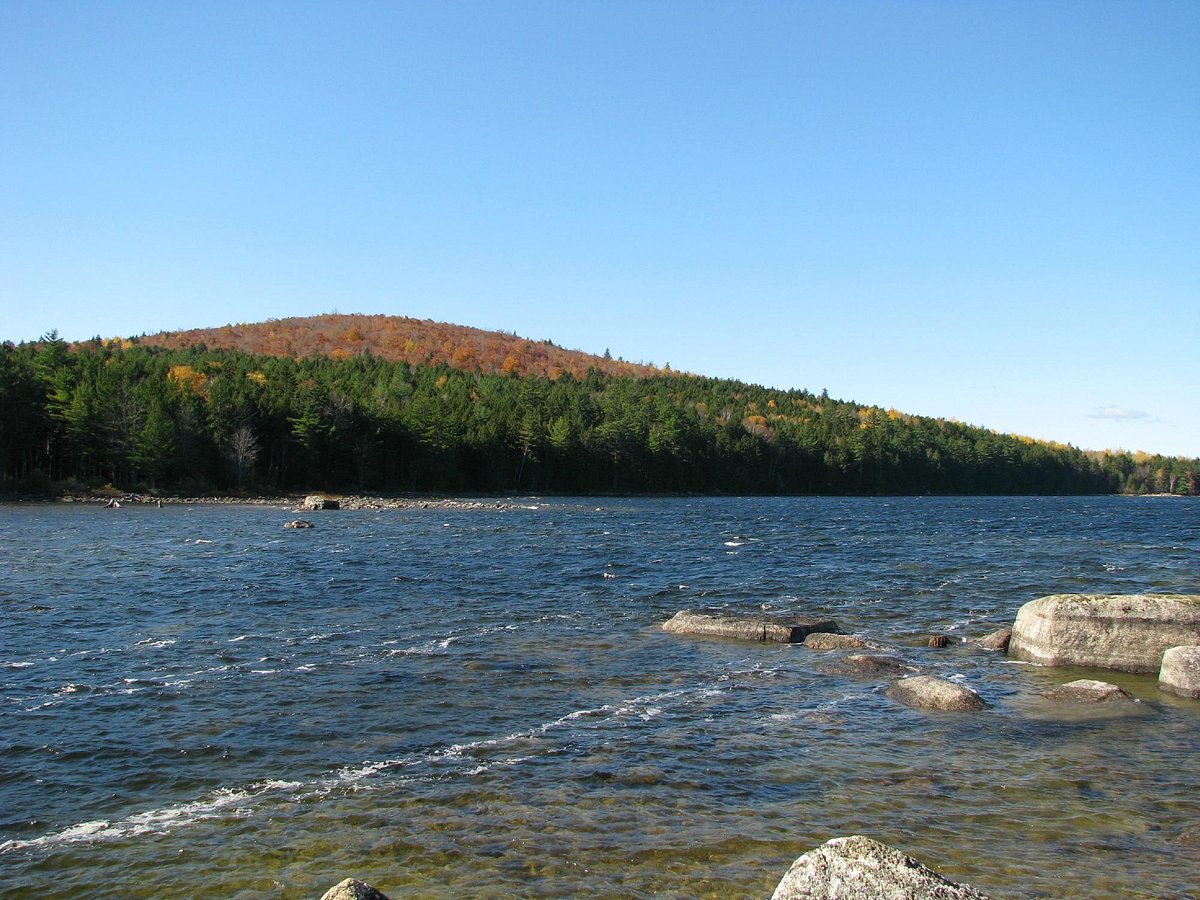 hidden-forest-bogs-of-maines-downeast-lakes