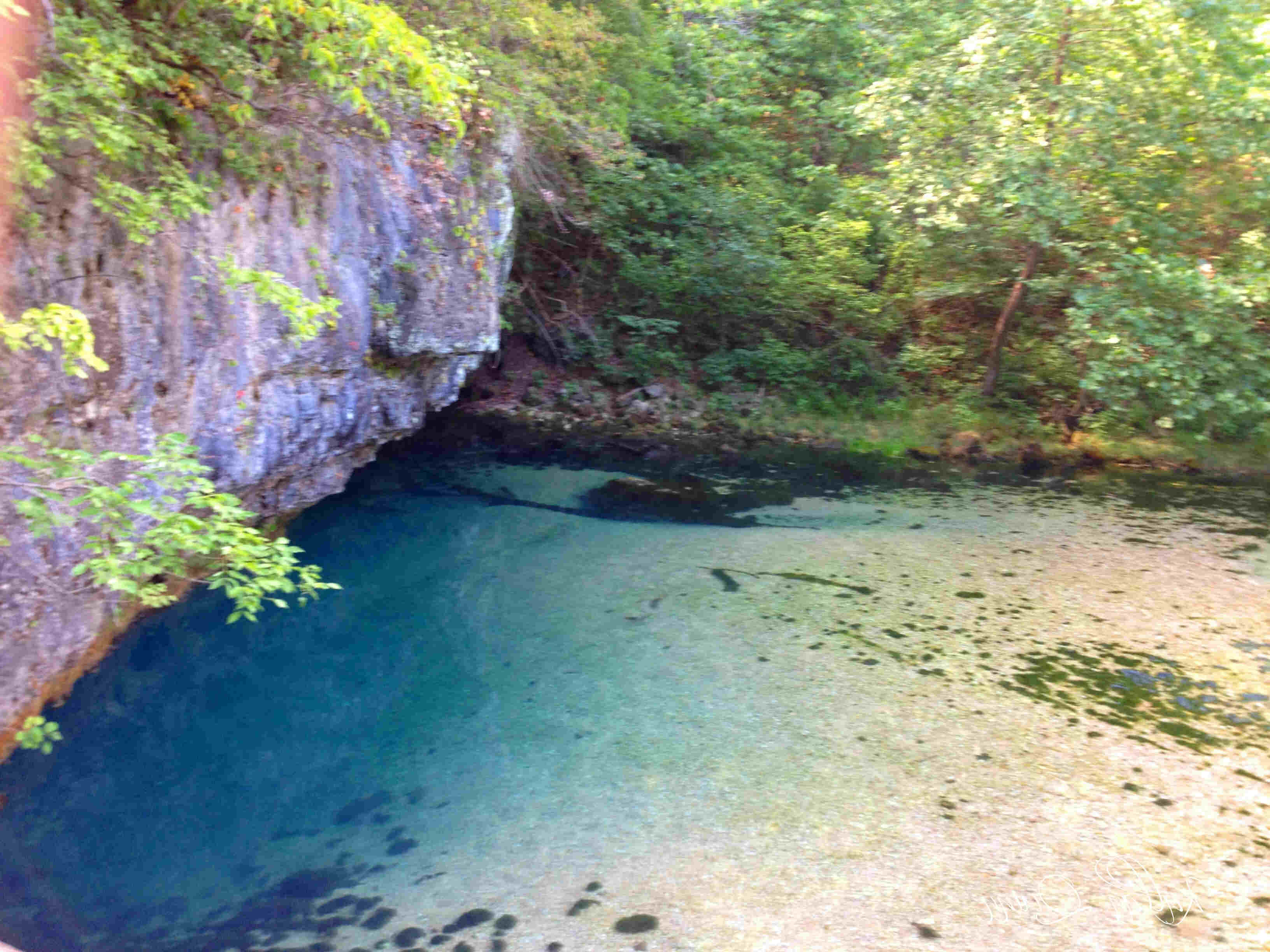 hidden-forest-glades-of-missouris-ha-ha-tonka