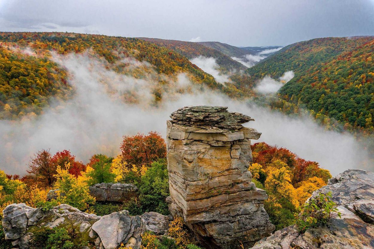 hidden-forest-gorges-in-canaan-valley-west-virginia