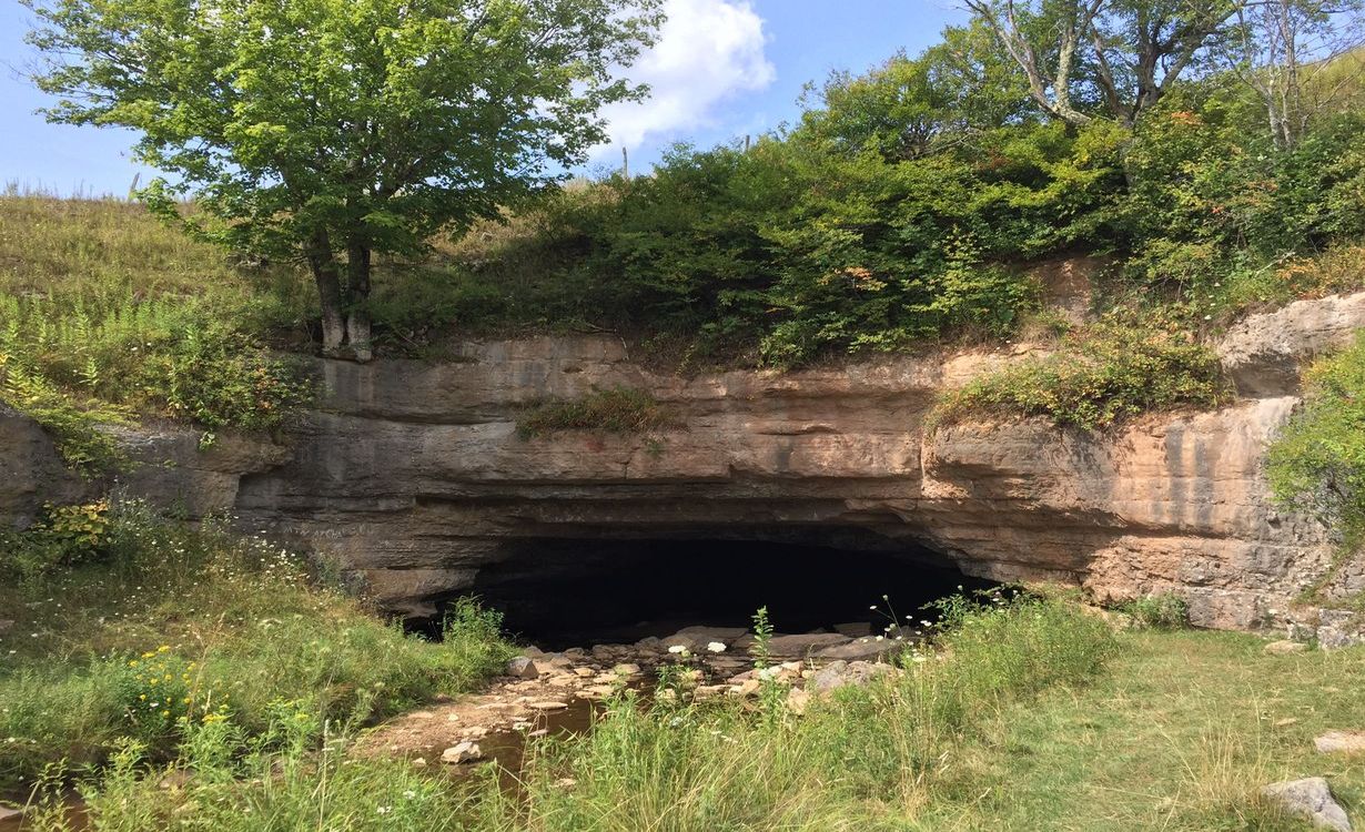 Hidden-Forest-Gorges-In-West-Virginia8217s-Sinks-Of-Gandy hidden-forest-gorges-in-west-virginias-sinks-of-gandy